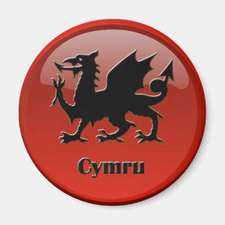 Cymru, magnet マグネット