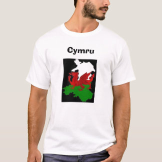 Cymru Tシャツ