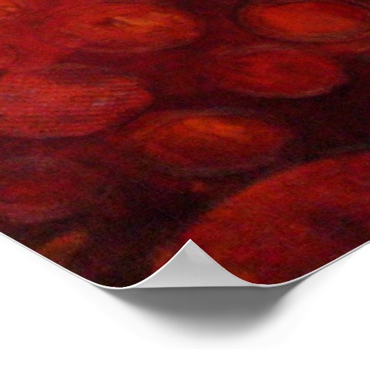 Cyndi's Garden - Canvas Print ポスター (角)