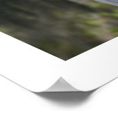 Cynthia's Angel 16x20 Poster ポスター (角)