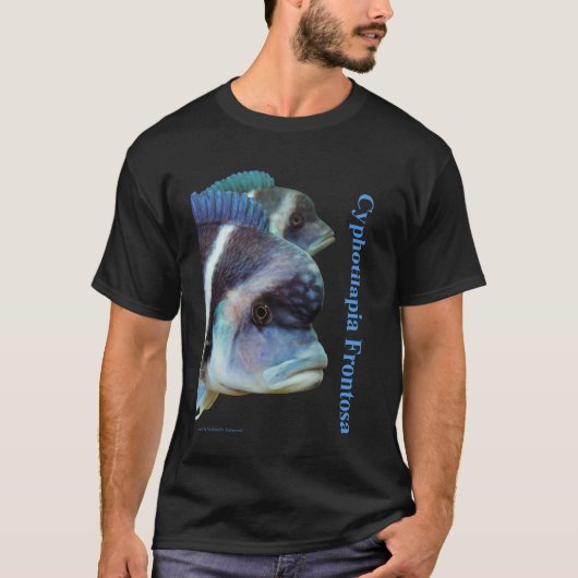Cyphotilapia frontosa tシャツ (正面)