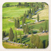 Cypressはタスカニーのコースターの曲がりくねった道を並べました スクエアペーパーコースター (正面)