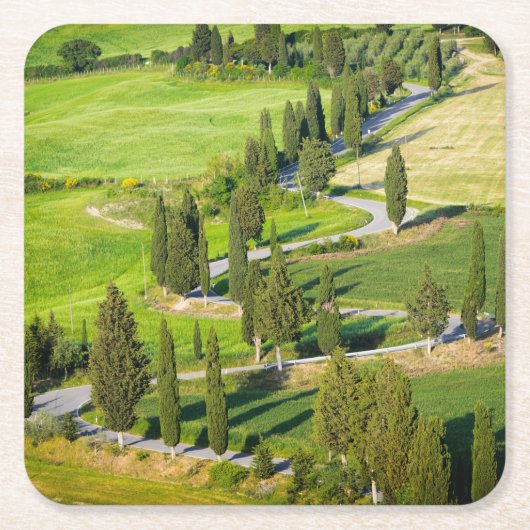 Cypressはタスカニーのコースターの曲がりくねった道を並べました スクエアペーパーコースター (正面)