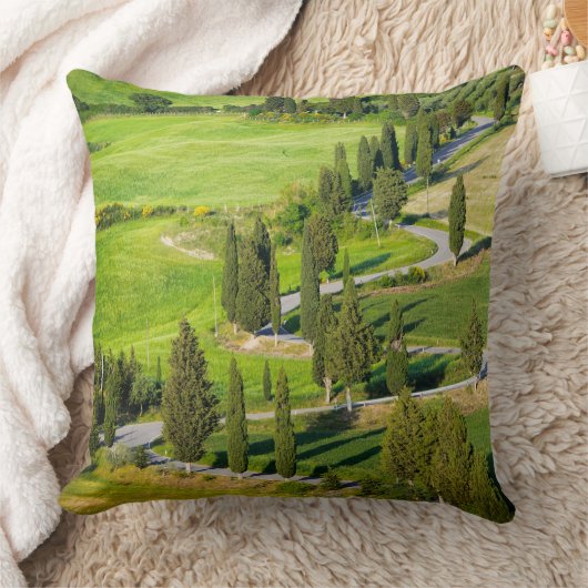 Cypressはタスカニーの装飾用クッションの曲がりくねった道を並べました クッション (ブランケット)