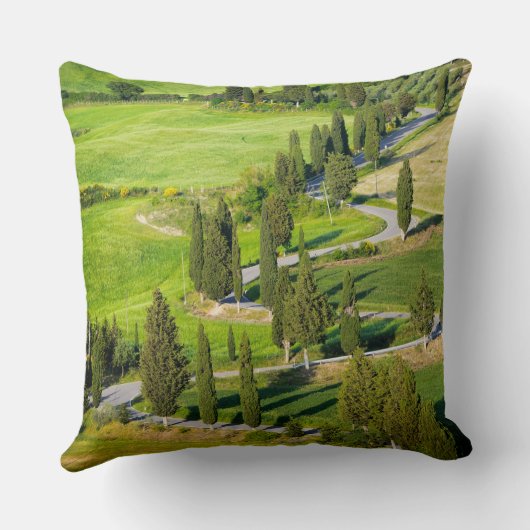 Cypressはタスカニーの装飾用クッションの曲がりくねった道を並べました クッション (裏面)