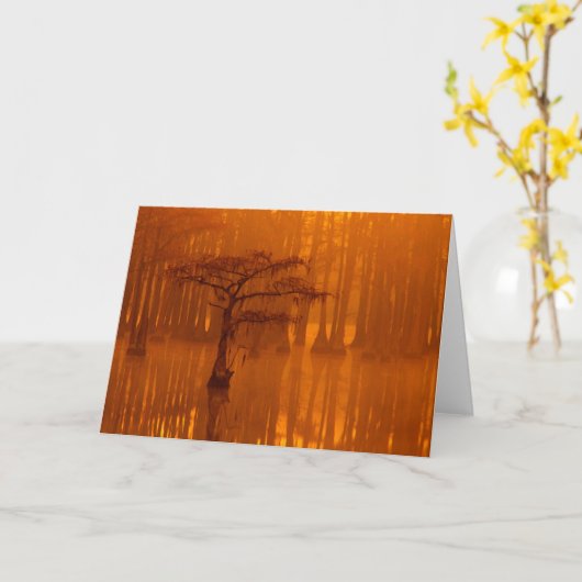 Cypress Trees | George Smith State Park カード (黄色い花)