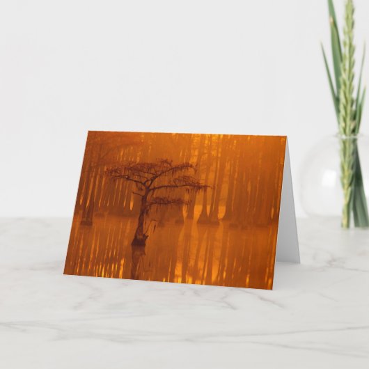 Cypress Trees | George Smith State Park カード (正面)