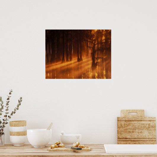 Cypress Trees | George Smith State Park ポスター (キッチン)