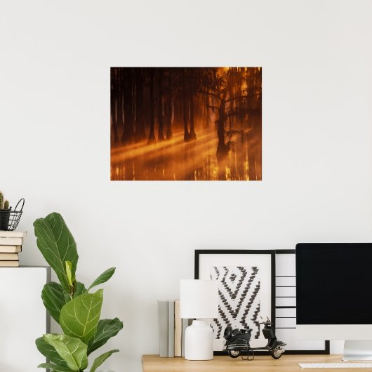 Cypress Trees | George Smith State Park ポスター (ホームオフィス)
