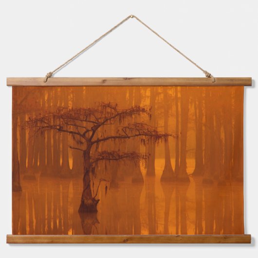 Cypress Trees | George Smith State Park 吊り下げ型タペストリー (正面)