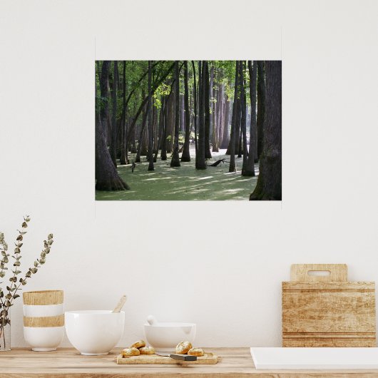 CypressSwampView ポスター (キッチン)