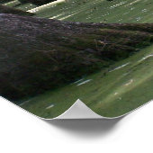 CypressSwampView ポスター (角)