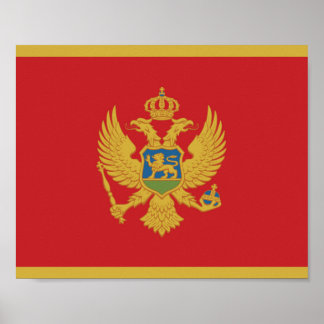 Cyprus Flag Poster ポスター