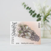Cyprus nature stamp flower spring flowers purple ポストカード (スタンド正面)