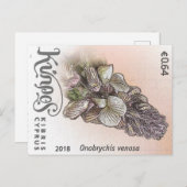 Cyprus nature stamp flower spring flowers purple ポストカード (正面/裏面)