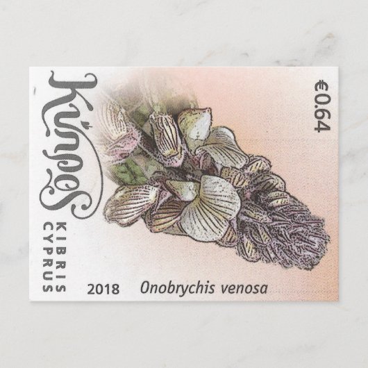 Cyprus nature stamp flower spring flowers purple ポストカード (正面)