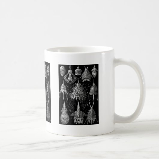 Cyrtoidea コーヒーマグカップ (右)