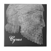 Cyrus素晴らしいの タイル (正面)