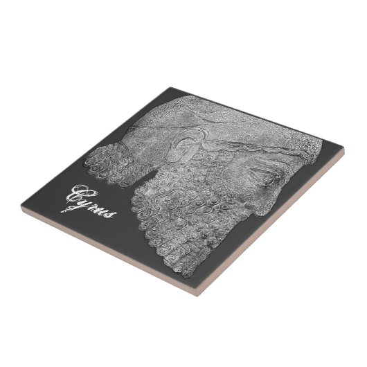 Cyrus素晴らしいの タイル (側面)