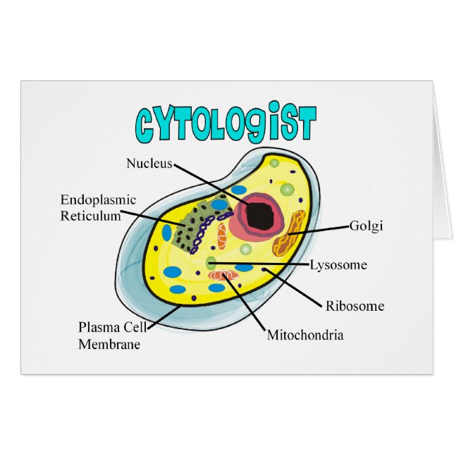 Cytologistのヒト細胞のスケッチのギフト (正面横)