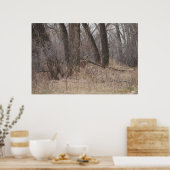 D1オウズラの白い尾の鹿春バック ポスター (キッチン)