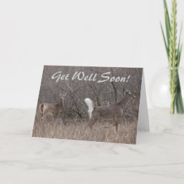 D1ホワイトオジカ春バックスインカタノウッズ カード