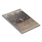 D1ホワイトテール鹿春バックスインブラシ ノートブック (右側)