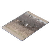 D1ホワイトテール鹿春バックスインブラシ ノートブック (左側)