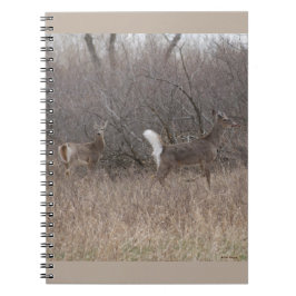 D1ホワイトテール鹿春バックスインブラシ ノートブック