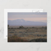 D10ホワイトテールは甘く草の丘を行う ポストカード (正面/裏面)