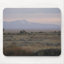 D10白い尾と甘い草の丘 マウスパッド