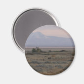 D10白い尾の鹿と甘い草の丘 マグネット (正面/裏面)