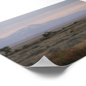 D10白尾の鹿の甘い草の丘 ポスター (角)