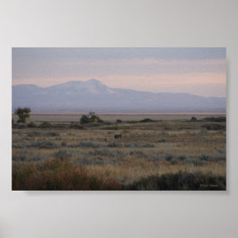 D10白尾の鹿の甘い草の丘 ポスター