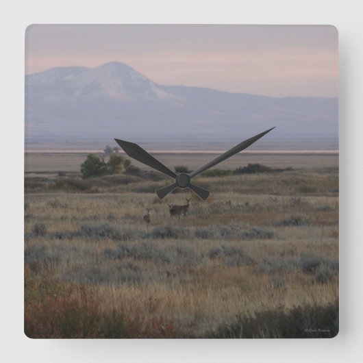 D10白尾の鹿鮎の丘 スクエア壁時計 (正面)