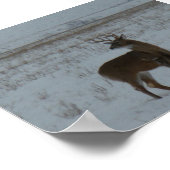 D11 シカの雄 スノー ポスター (角)