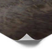 D12ムレディアバックとスイートグラスヒルズ ポスター (角)