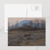 D12ムレディアバックとスイートグラスヒルズ ポストカード (正面/裏面)