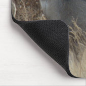 D14 ムレジカの雌 マウスパッド (コーナー)