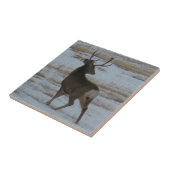 D15 ムレジカ鹿の雄 タイル (側面)