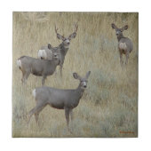 D18ラバシカ家族 タイル (正面)