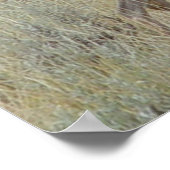 D18 ムロアカジビル ポスター (角)