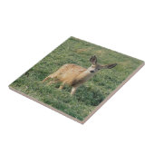 D19ムレディアファウン タイル (側面)