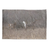 D1 シカの若鹿 春のブラシの中 枕カバー (裏面)