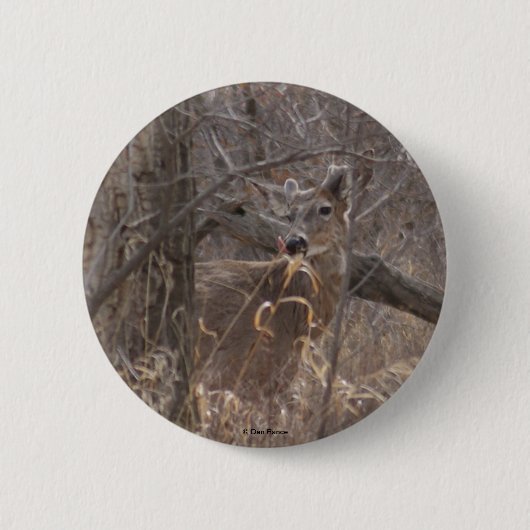 D2シジカ 缶バッジ (正面)