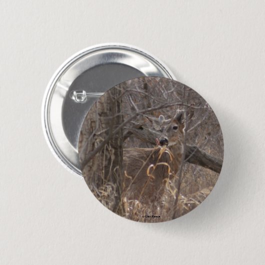 D2シジカ 缶バッジ (正面&裏面)