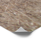 D2ホワイトテールディアー春バックスインコットンウッズ ポスター (角)