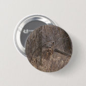 D2ホワイトテール鹿春バックインコットンウッドツリーズ 缶バッジ (正面&裏面)