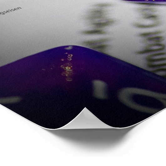 D20 ポスター (角)