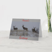 D21ラバシカの木びき台 シーズンカード (正面)